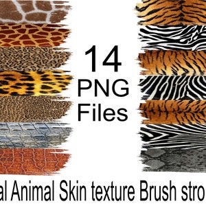 Real Animal skin textured brush strokes clipart, animal print graphic design element, safari print brush strokes, Jungle theme brush texture