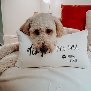 My dog pillow online