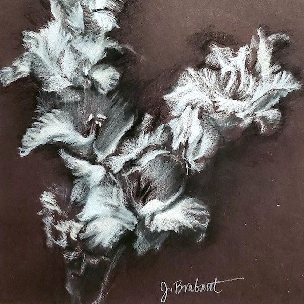 Gladiola, 9 x 12, Original Pastel Drawing