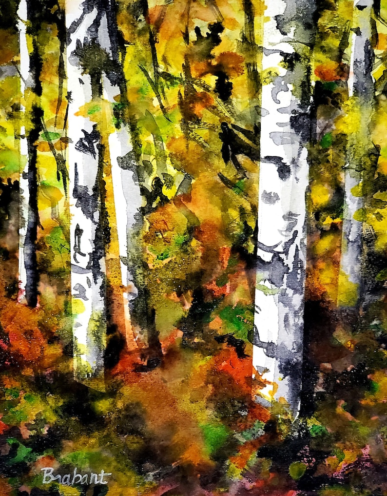 9 x 12 Autumn Birches Original Watercolor