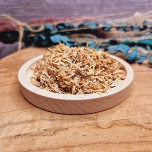 Angelica root – angelica – perception – angel protection