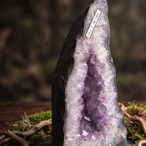 Könnte beinhalten: Eine hohe Amethyst-Geode mit einer dunklen, rauen Außenseite und einem hohlen Zentrum, das mit hell- bis tiefvioletten Kristallspitzen gefüllt ist. Ein weißes rechteckiges Etikett zeigt den Text 15.88 kg und MADE IN BRAZIL.
