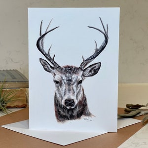 Carte renne réaliste et unique aquarelle vierge/carte de voeux pour les amoureux des oiseaux/animaux 5" par 7"