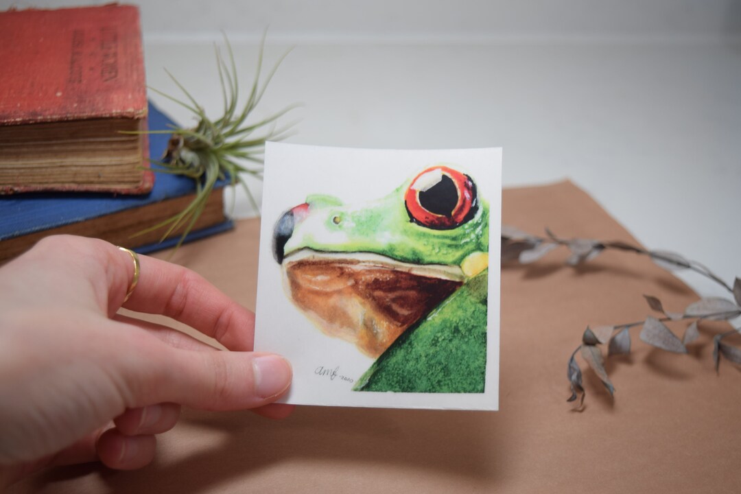 Frog Sticker red-eyed Tree Realistic & Unique Clear Waterproof Vinyl ...