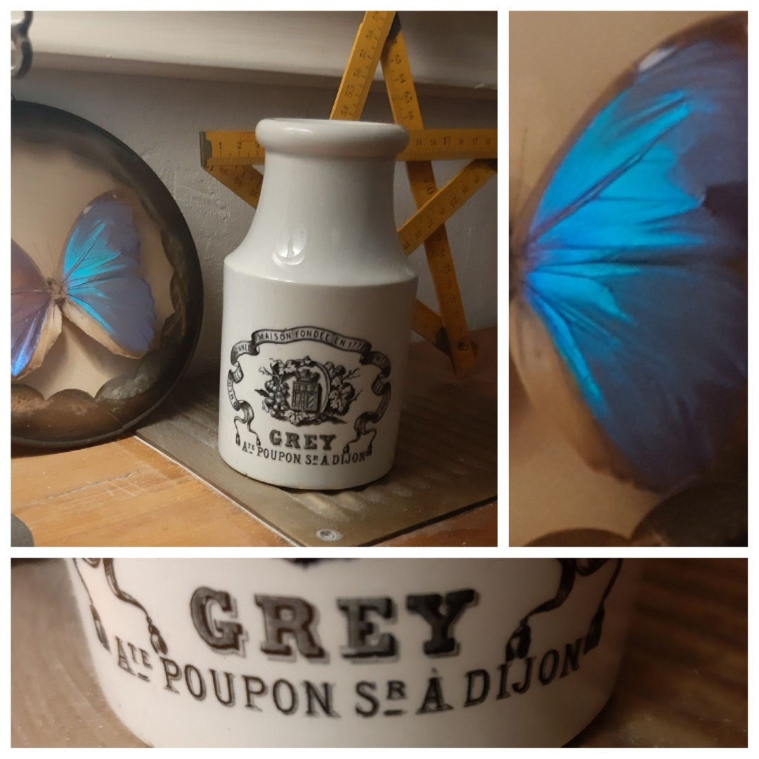 Creil et Montereau Grand Pot à Moutarde de Dijon Grès Blanc Années 20 Décor Grey Poupon Boite Conser
