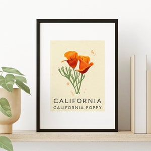 California State Flower - California Poppy Illustration - Classic Vintage Style - State Flower Series - Framed Art  - The Golden State