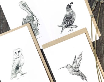 Featured image of post Bird Drawing For Kids Black And White / Learn how to draw black and white bird pictures using these outlines or print just for coloring.