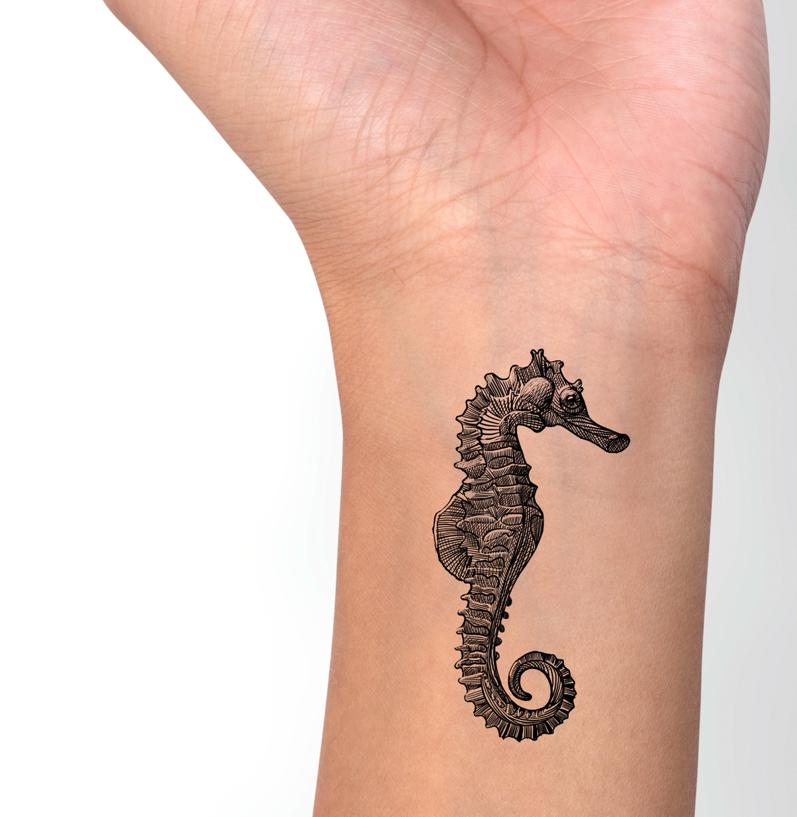 Seahorse Outline Tattoo Seahorse Outline Tattoo