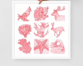 Red and White Nature Line Art Print - Katie O'Shea