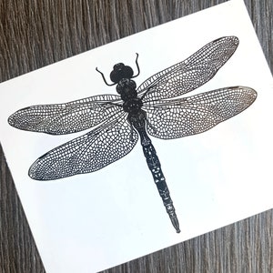 May include: Black and white line art illustration of a dragonfly with detailed wings.