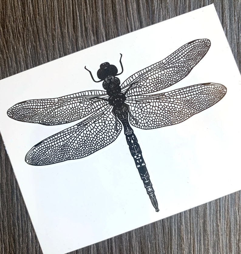 May include: Black and white line art illustration of a dragonfly with detailed wings.