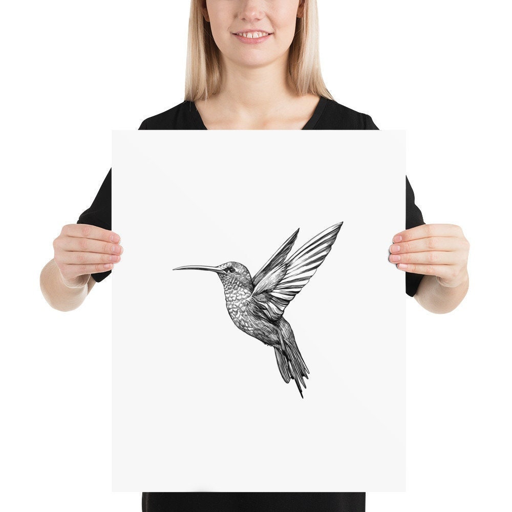 Ilustración de colibrí Dibujo negro sobre blanco pesado - Etsy México Ilustración de colibrí Dibujo negro sobre blanco pesado - Etsy México