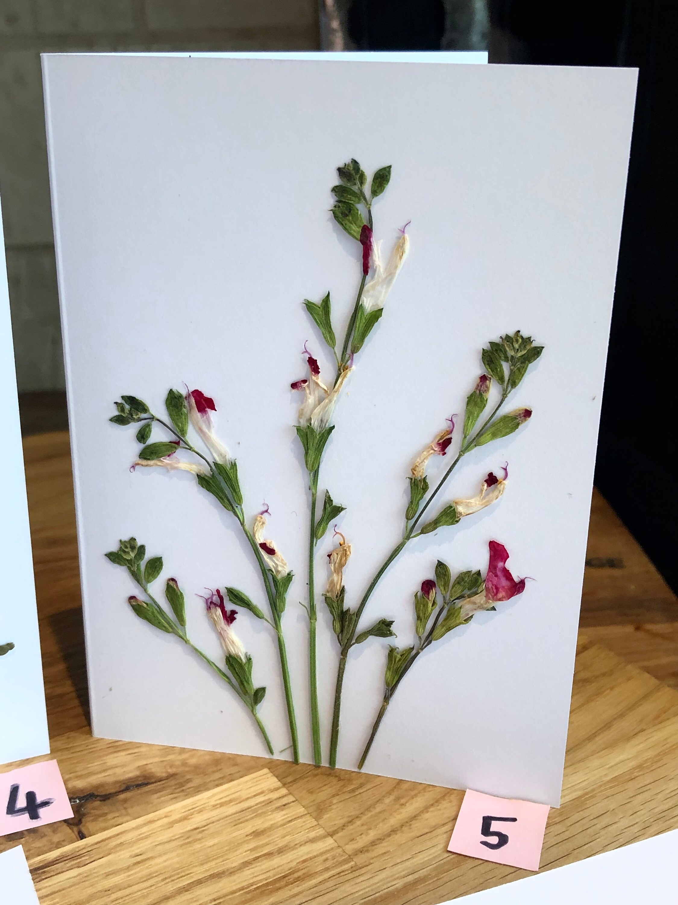 REAL handmade flower pressed cards greetings blank special Etsy
