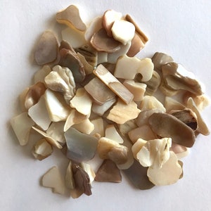 30 g vrije vorm natuurlijke schelpstenen vlokken chips - DIY decoratie nail art hars kunst