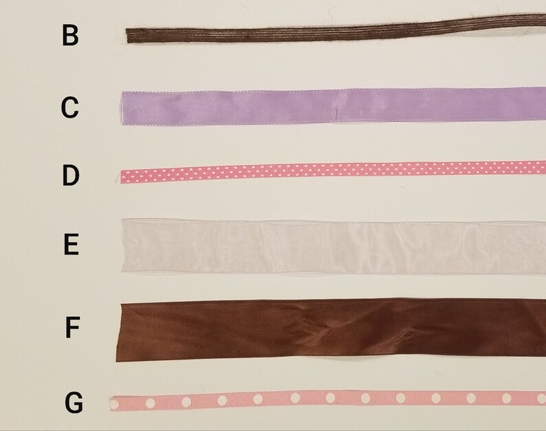 Wizer Organizer