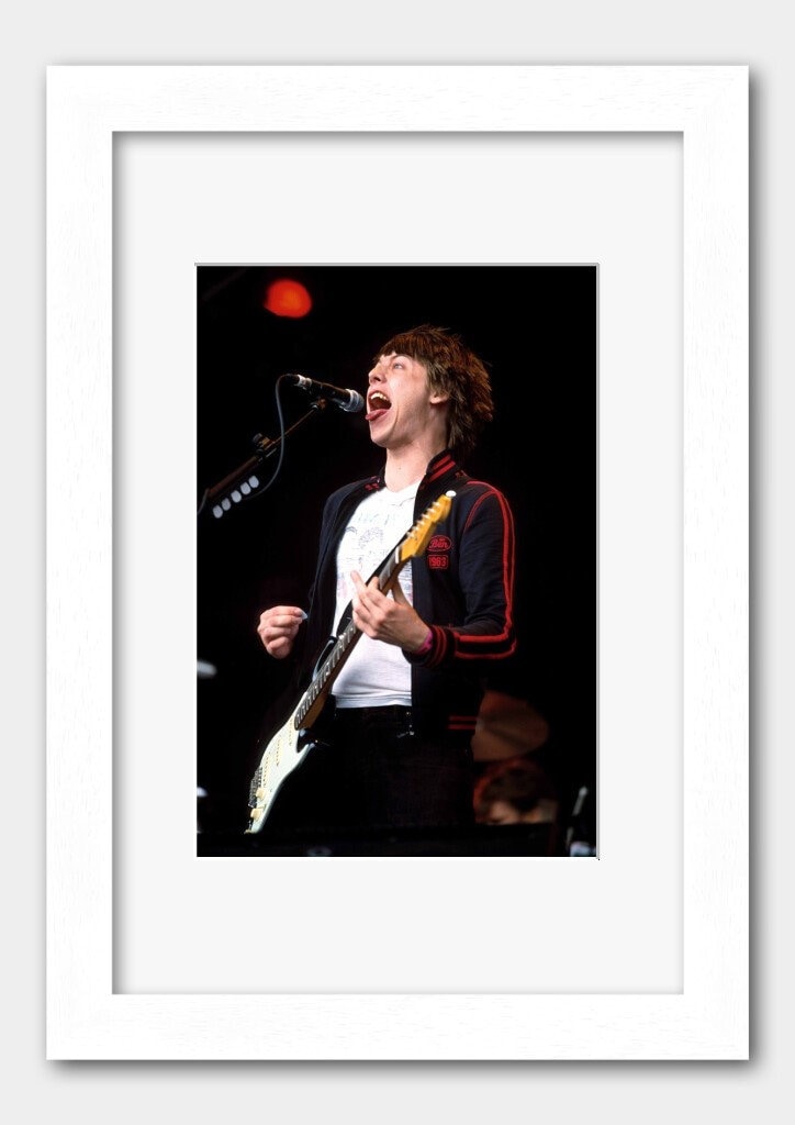 The Vines Band Poster / Print Craig Nicholls auf der Bühne Etsy