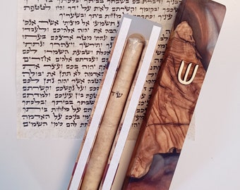 Rotolo della Mezuzah Kosher: Shema scritto a mano, pergamena da 3". Custodia non inclusa.