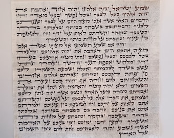 Rotolo della Mezuzah Kosher: pergamena ebraica scritta a mano, 3". Custodia non inclusa.