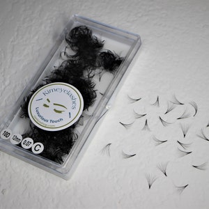 1000 Premade fans 4D 5D 6D 7D 8D 9D 10D Mega Volume loose Fans C D Curl 0.07 Handmade eyelash extensions supplies Russian volume promade fan