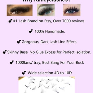 1000 Fans 0.07 Mixed Lengths Premade Volume loose Fans C, D Curl Handmade Fan eyelash extensions. Russian promade fans 4D 5D 6D 7D 8D 9D 10D image 2