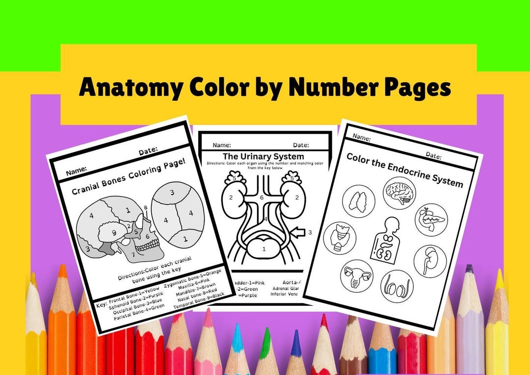 Anatomy & Physiology Coloring Page: Medical Learning for Students ...