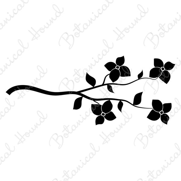 Dogwood Flowers on Branch SVG | Flowers on Branch SVG | Flowers SVG | Spring Summer Flowers Svg | Flowers Clipart