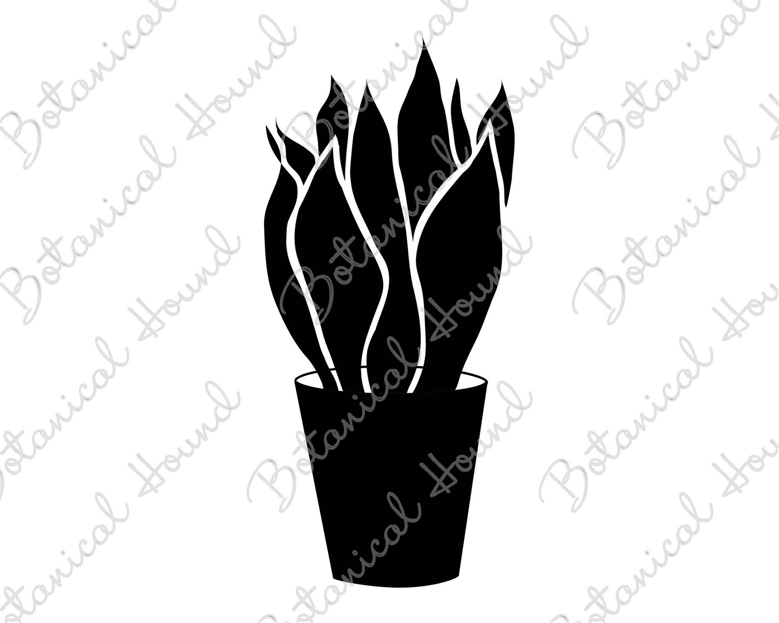Snake Plant SVG Plant SVG Sansevieria SVG Potted Plant Etsy Finland