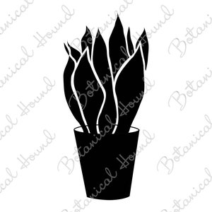 Arquivo de corte SVG de planta de cobra para Cricut e Silhouette | Sansevieria SVG