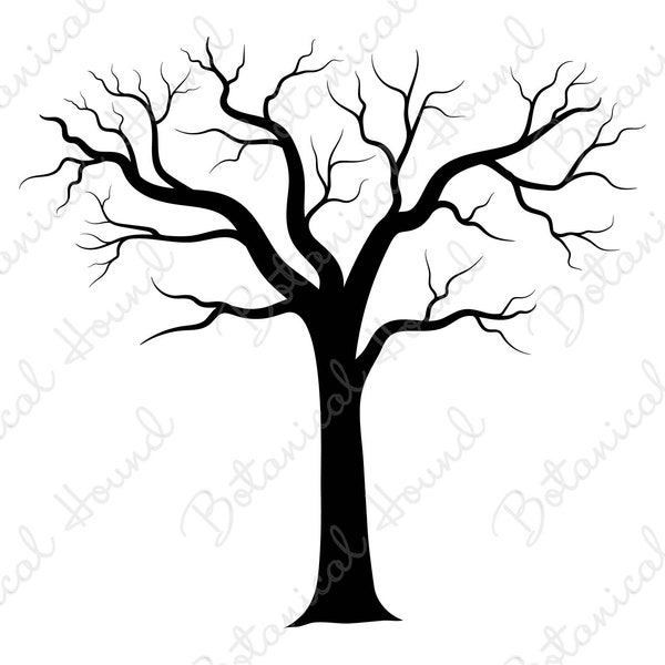 Bare Tree SVG | Tree SVG | Fall Foliage SVG | Fall Theme Svg | Halloween Tree Cutting File For Cricut and Silhouette
