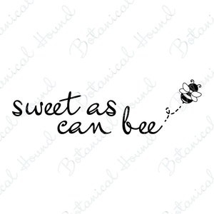 Sweet As Can Bee SVG Cut File per Cricut e Silhouette