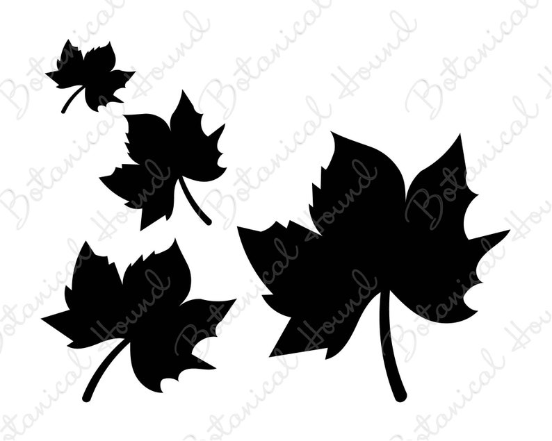Download Fall Design Svg Group Of Leaves Svg Foliage Svg Leaf Clipart Leaves Svg Maple Leaves Svg Fall Svg Clip Art Art Collectibles Upcrndp Gov In