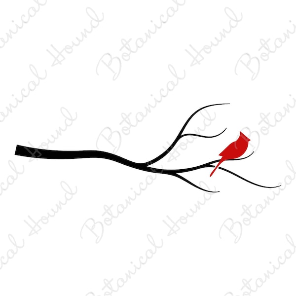 Cardinal on Branch Layered SVG Cut File for Cricut and Silhouette