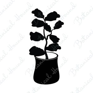 Puede incluir: Una silueta negra de una planta en maceta con hojas grandes y redondeadas. La planta está en una maceta redonda simple.