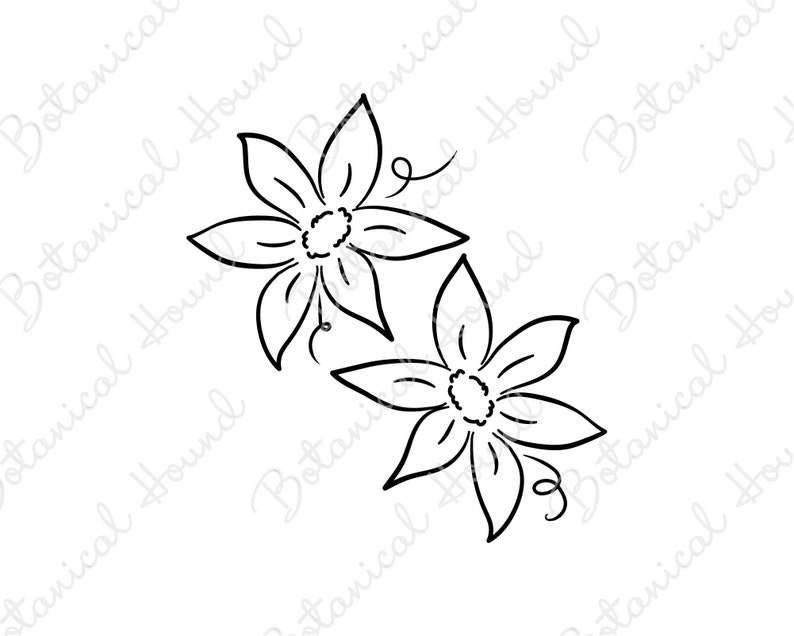 Download Clip Art Art Collectibles Summer Flowers Svg Spring Flowers Svg Flowers Svg Hand Drawn Flowers Clipart Hand Drawn Flowers Svg