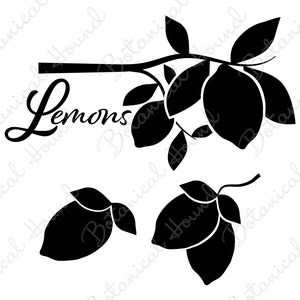 Lemons SVG Bundle | Citrus SVG | Spring and Summer Svg | Fruit Bundle Svg | Lemons Clipart