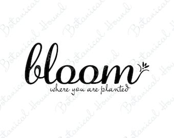 Bloom Where You Are Planted SVG Cut File for Cricut and Silhouette | Encouraging Quote SVG