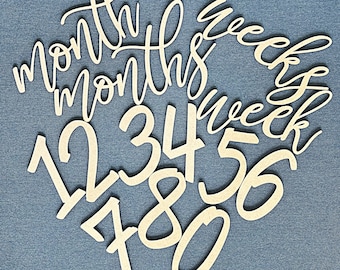 Cutout Numbers and Months Milestone Baby Photo Prop Pregnant Milestone Baby Shower Gift Baby Month Announcement Baby Monthly Milestone