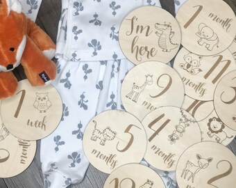 Baby Milestone Monthly Signs with Zoo Animals, Baby Shower Gift, Engraved discs, Milestone plaques, Baby photo prop, Set of 14 tiles