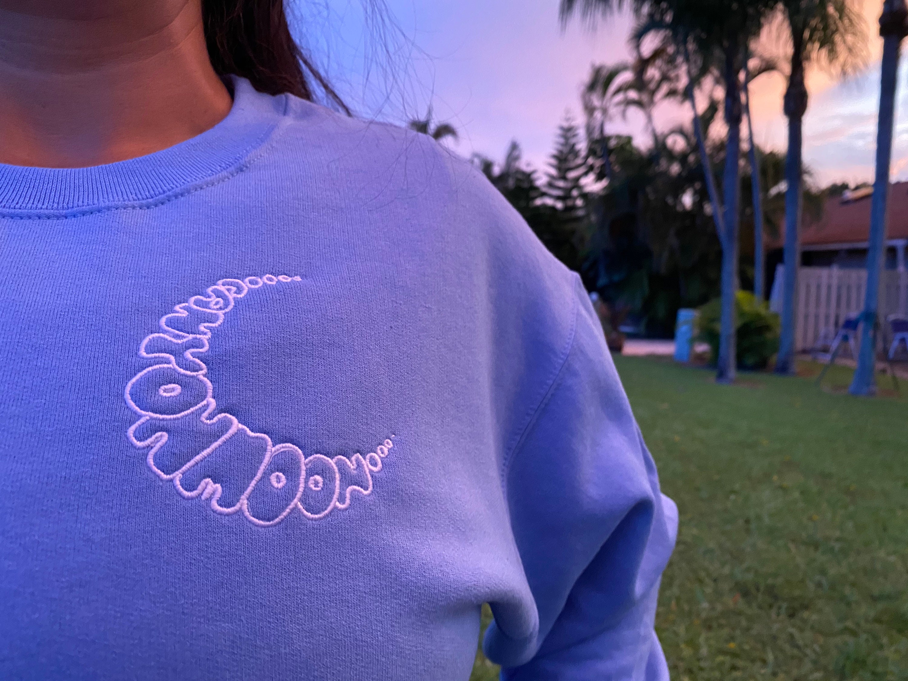 Canyon Moon Fine Line inspired sweater crewneck | Etsy