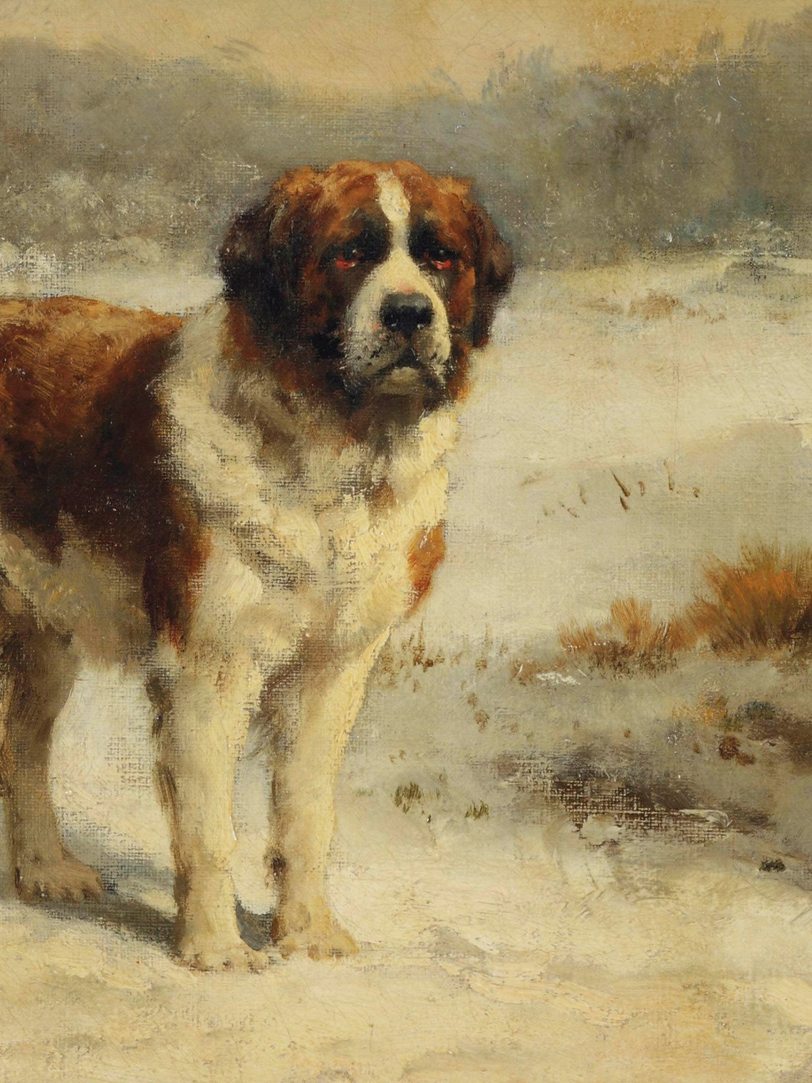ART PRINT A Saint Bernard Oil Painting Saint Bernard Art Etsy