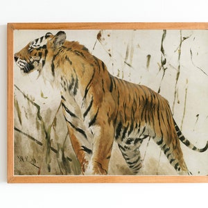 ART PRINT | Vintage Tiger Painting | Animal Artwork | Animal Portrait Painting | Tiger Print | Antique  Animal Art