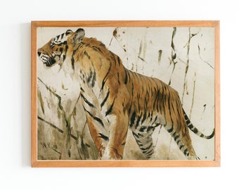 Vintage Tiger Art Print | Antique Animal Painting