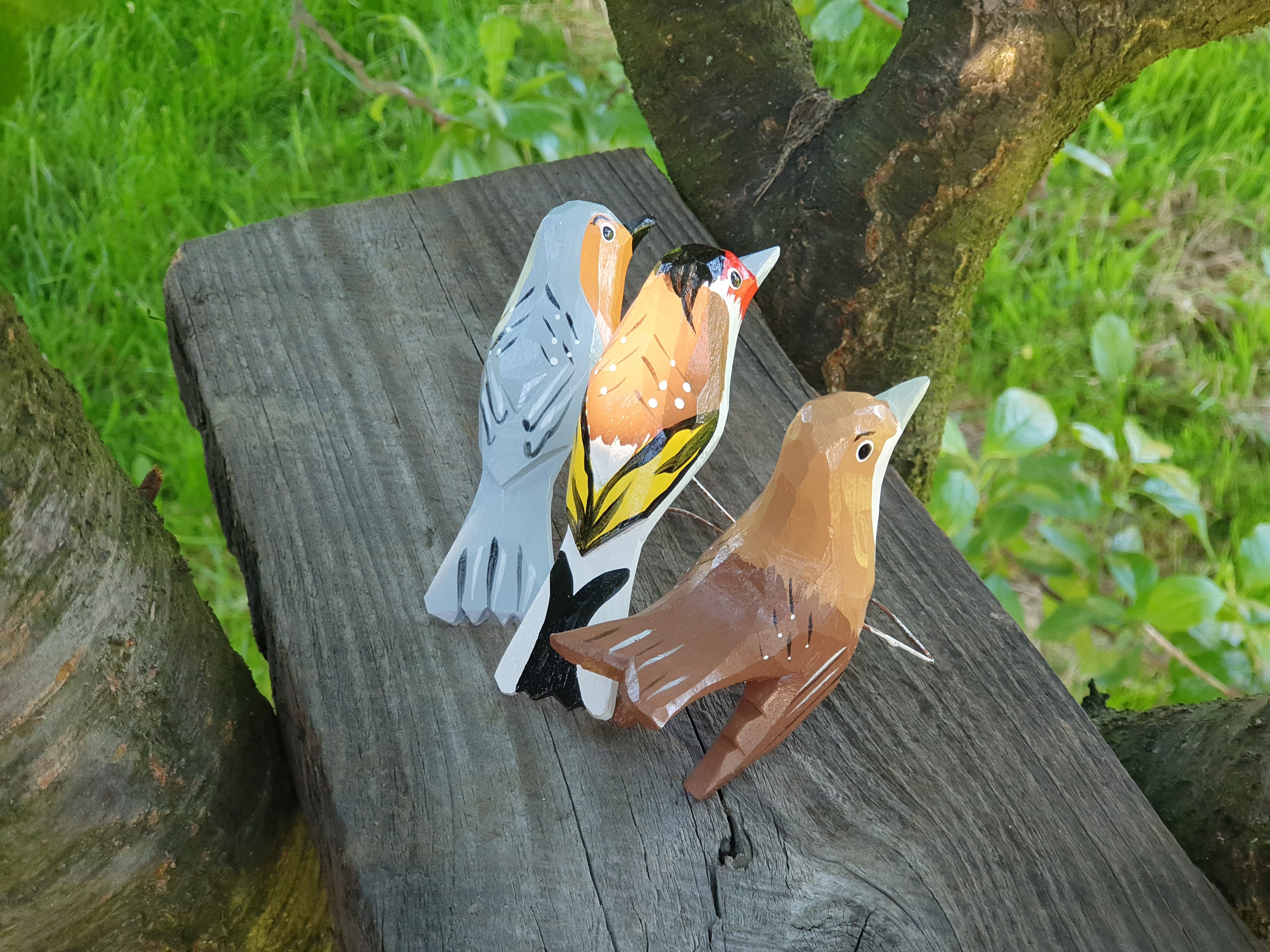 European Goldfinch for sale Only 4 left at 60