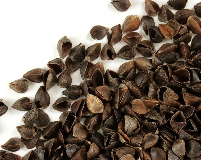 Buckwheat Hulls for Pillow Making // Gardening 8 OZ Etsy