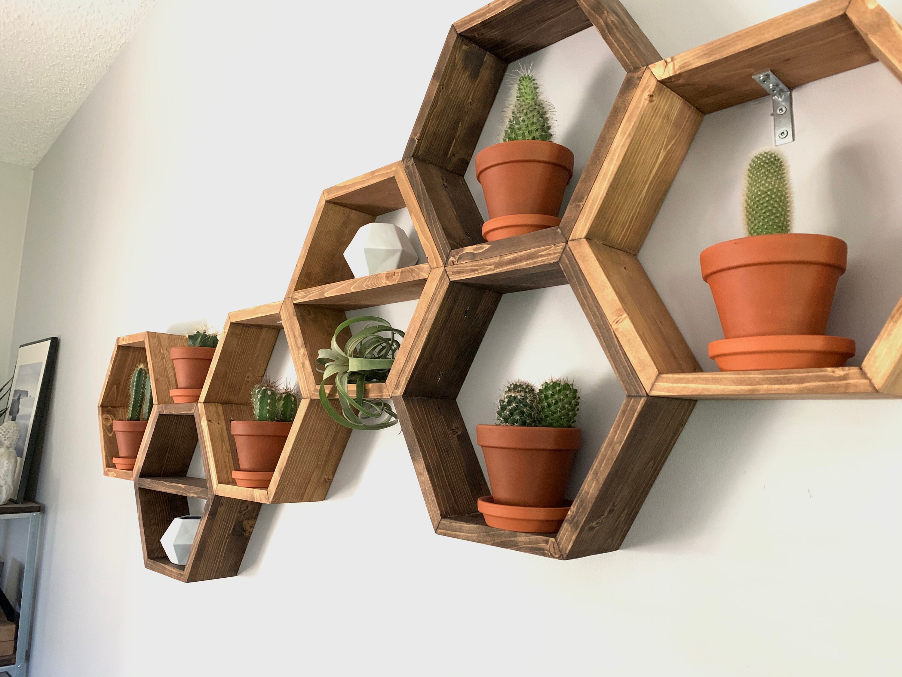 Hexagon shelf hexagon shelves plant shelf plant shelves Etsy