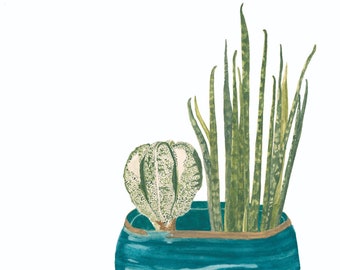 May include: A watercolor painting of two plants in a teal pot. The plants are a Sansevieria cylindrica and an Astrophytum myriostigma. The text "Astrophytum myriostigma and Sansevieria cylindrica 2 J.P.Taylor July 2020" is written below the pot.