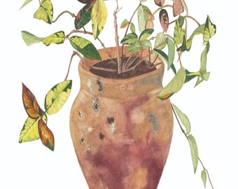 May include: A watercolor painting of a potted plant with variegated leaves in shades of green, yellow, and red. The plant is in a terracotta pot with a rough, textured surface. The pot has a brown, orange, and red color scheme. The painting is signed "Roko J.P. Taylor 2020".