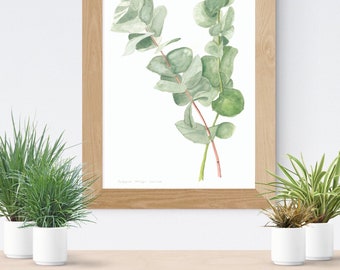 May include: A framed watercolor painting of eucalyptus leaves in shades of green. The leaves are arranged in a loose, organic pattern, and the painting has a simple, elegant style.