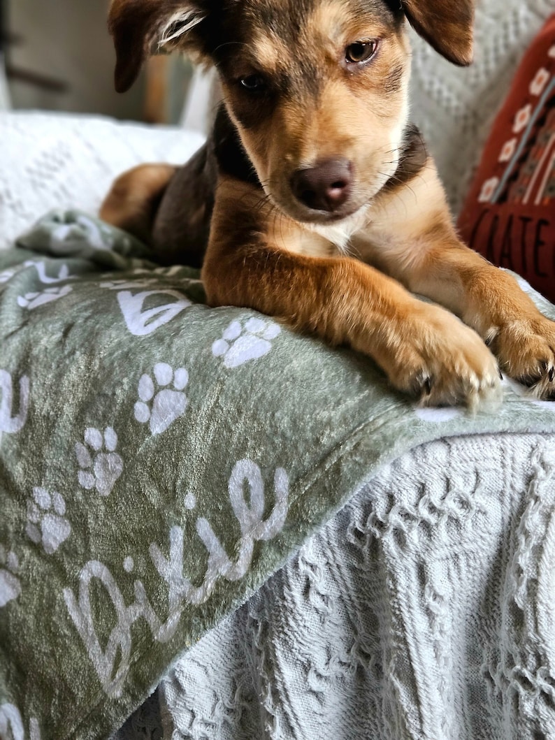 May include: A brown and black puppy with brown eyes is lying on a green blanket with white paw prints and the word "Dixie" written on it. The puppy is looking down at the blanket.