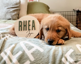 New Puppy Name Swaddle, Swaddle and 3D Birth Stat, Baby Name Announcement, Hospital Newborn Announcement, 3D Baby Birth Stat, Puppy Blanket